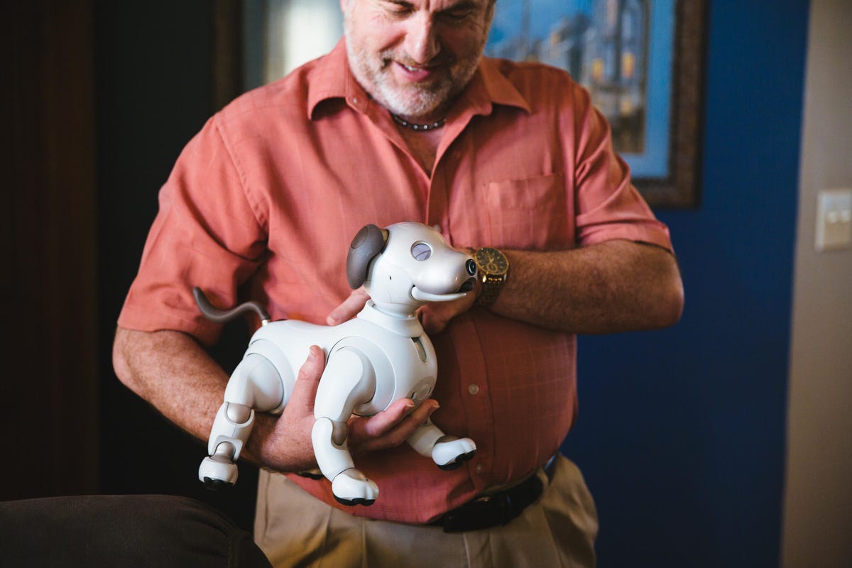 chris-benham-aibo-5