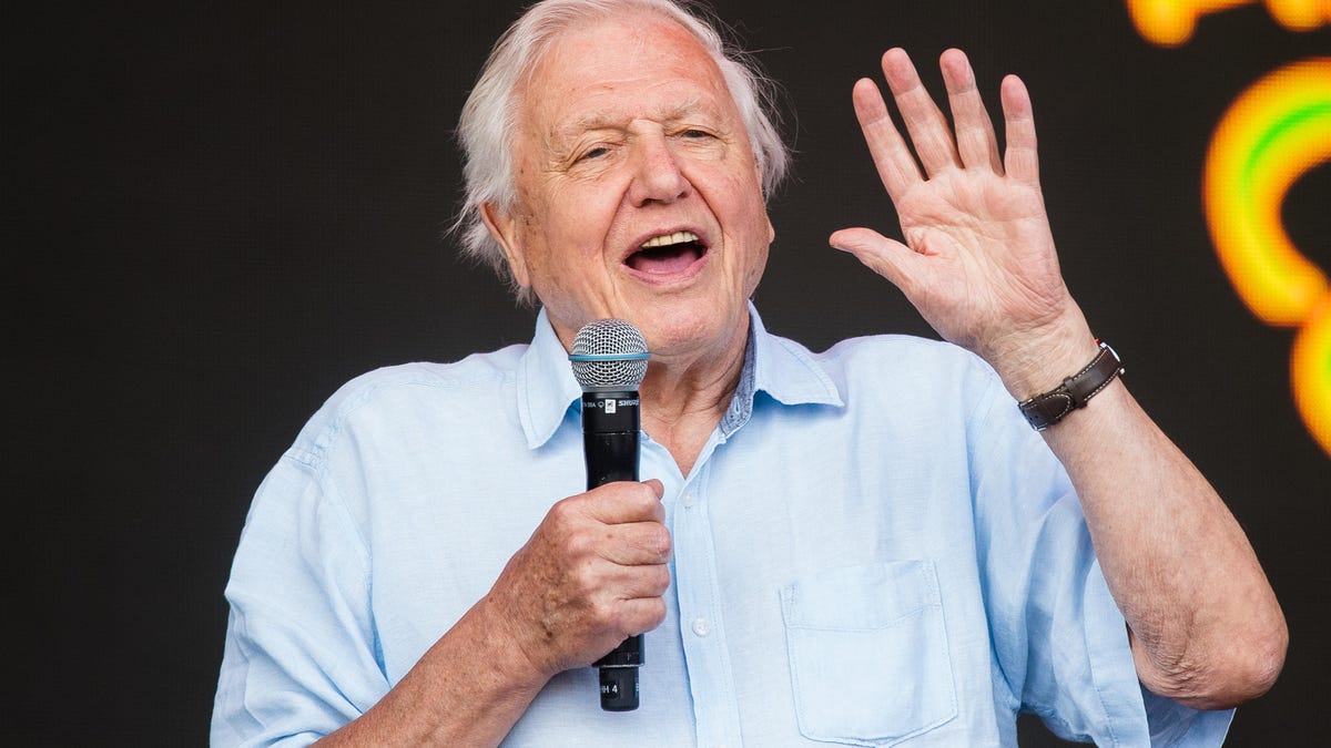 Glastonbury Festival 2019 - Day Five