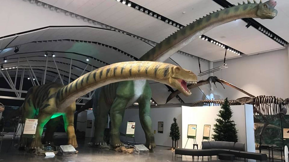 museumdinos.jpg