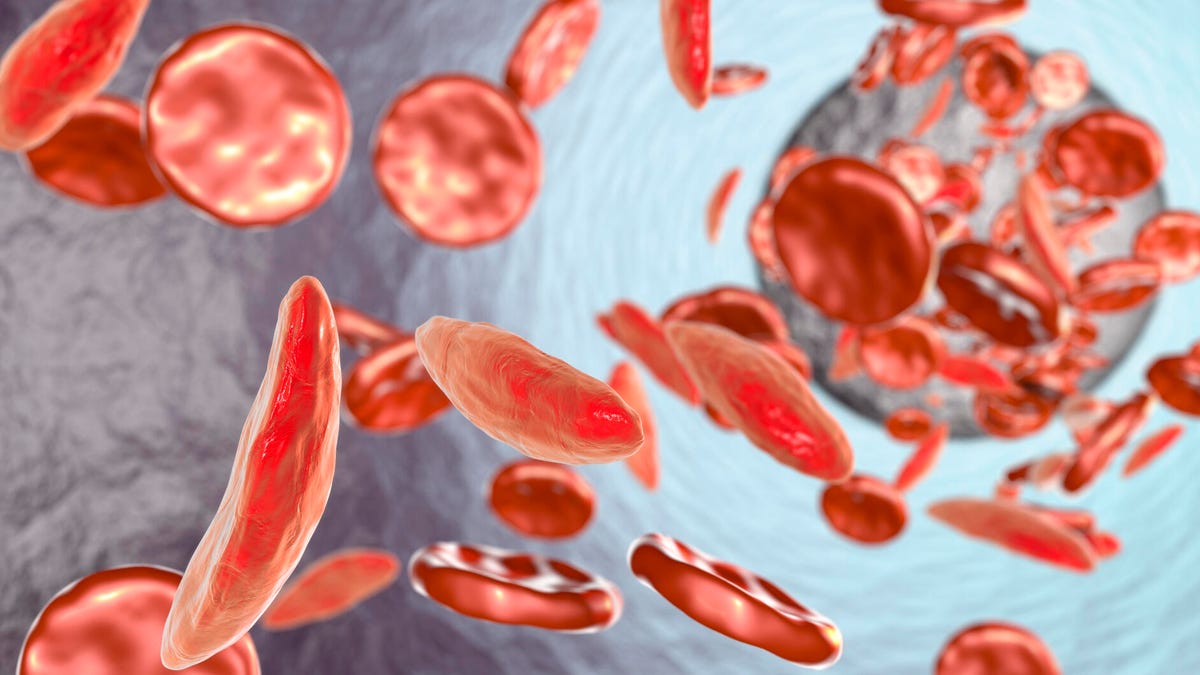 gettyimages-685025589