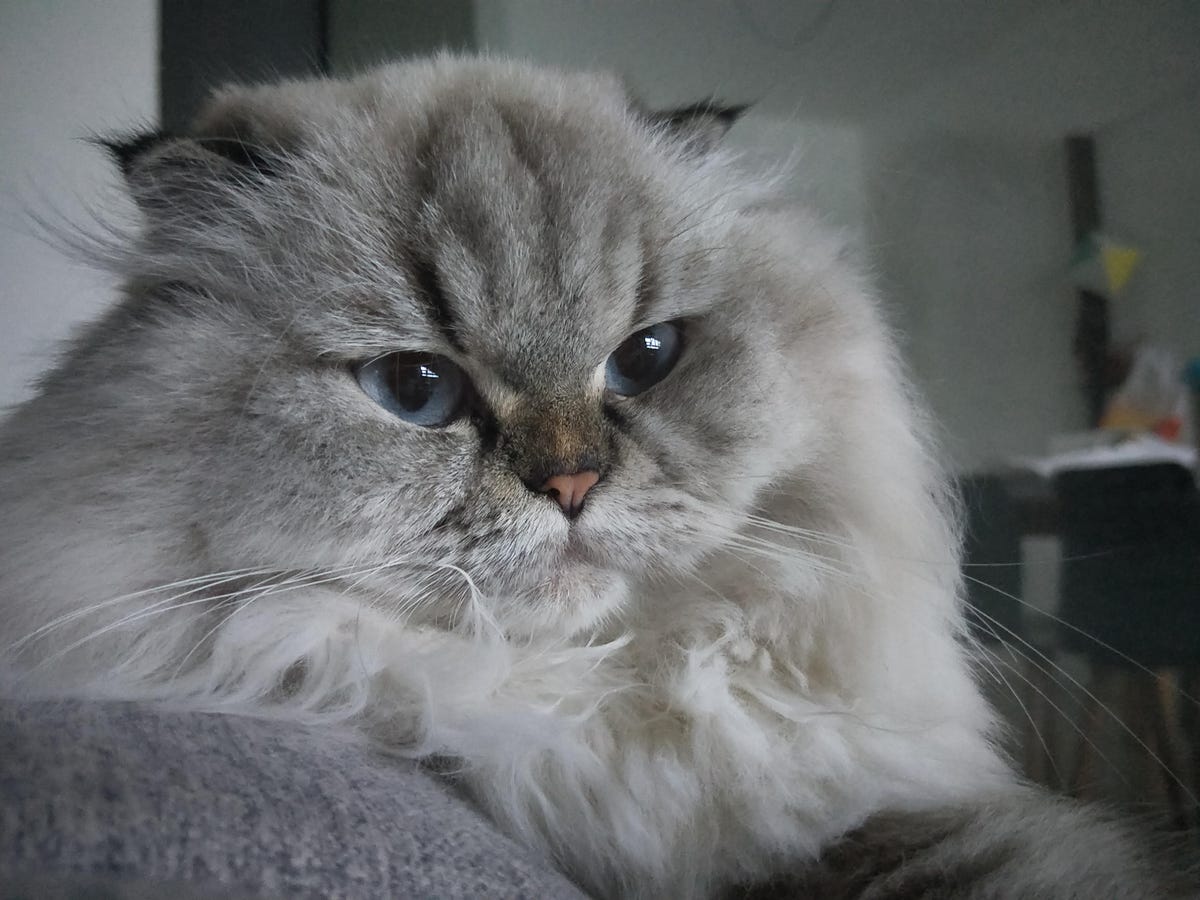 oppor11s-testshot-cloeseup