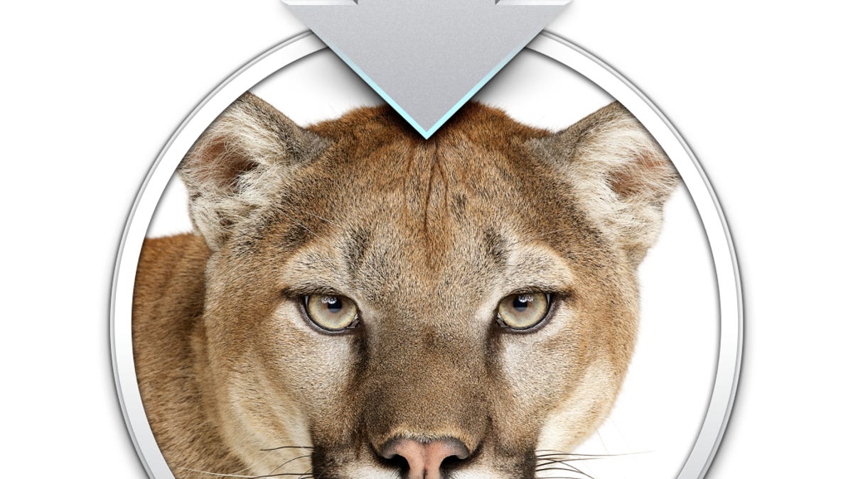 Mountain Lion