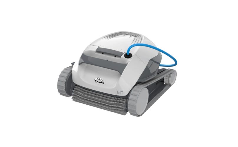 Dolphin robot in pool