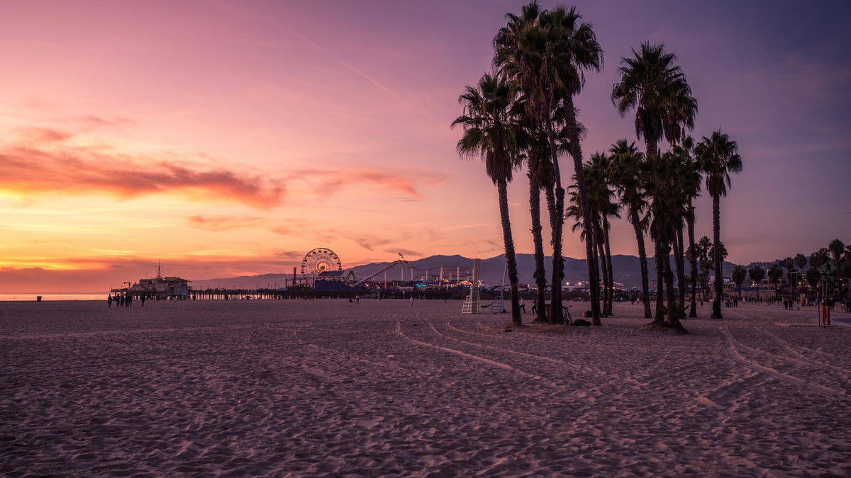 A photo of a beach in Los Angeles at sunset, with palm trees, a pier and a ferris wheel in the background