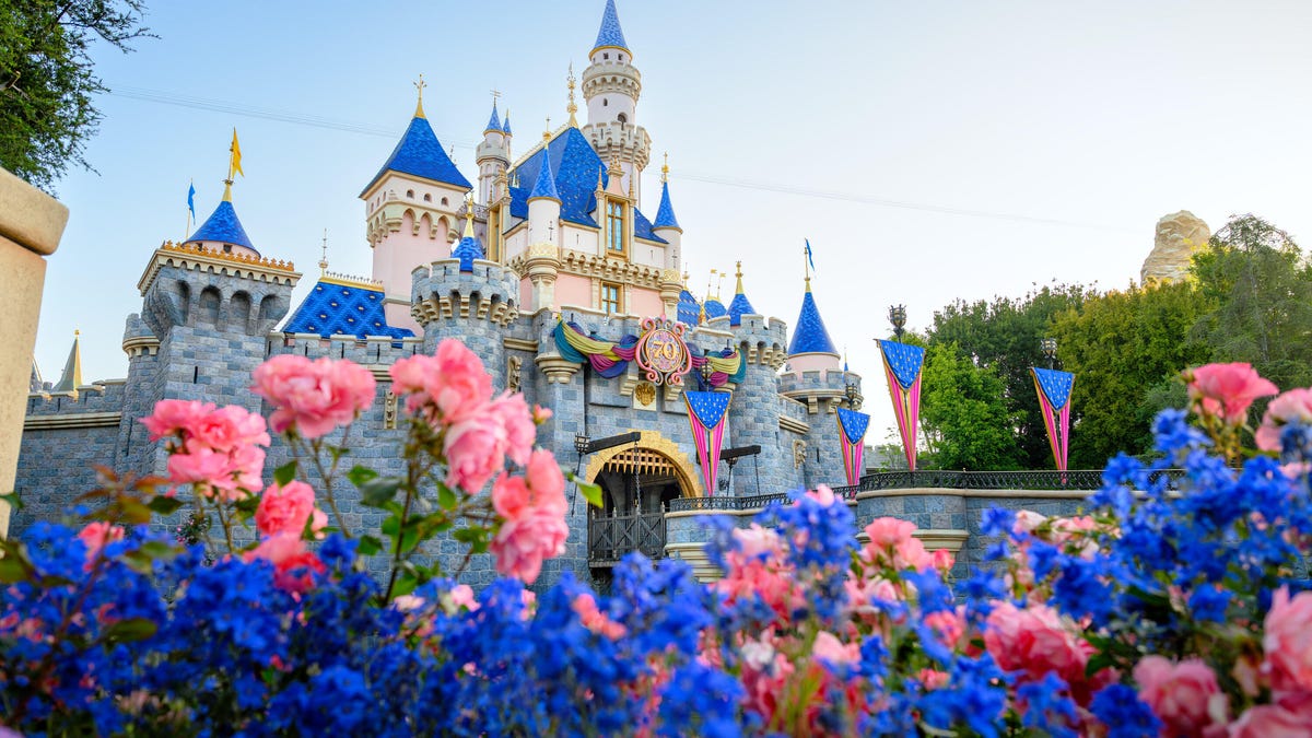 The Disneyland castle is in the background with pink and blue flowers in the foreground.