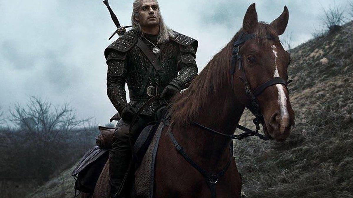 The Witcher Roach