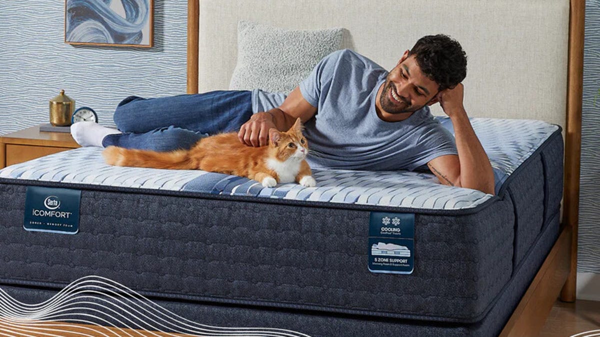 Man and red-haired cat on bare mattress with grey headboard.