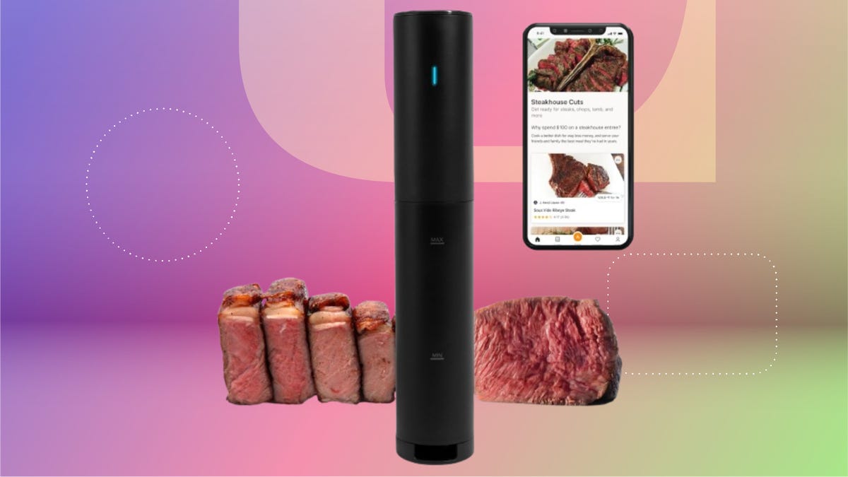 Precision Cooker Mini