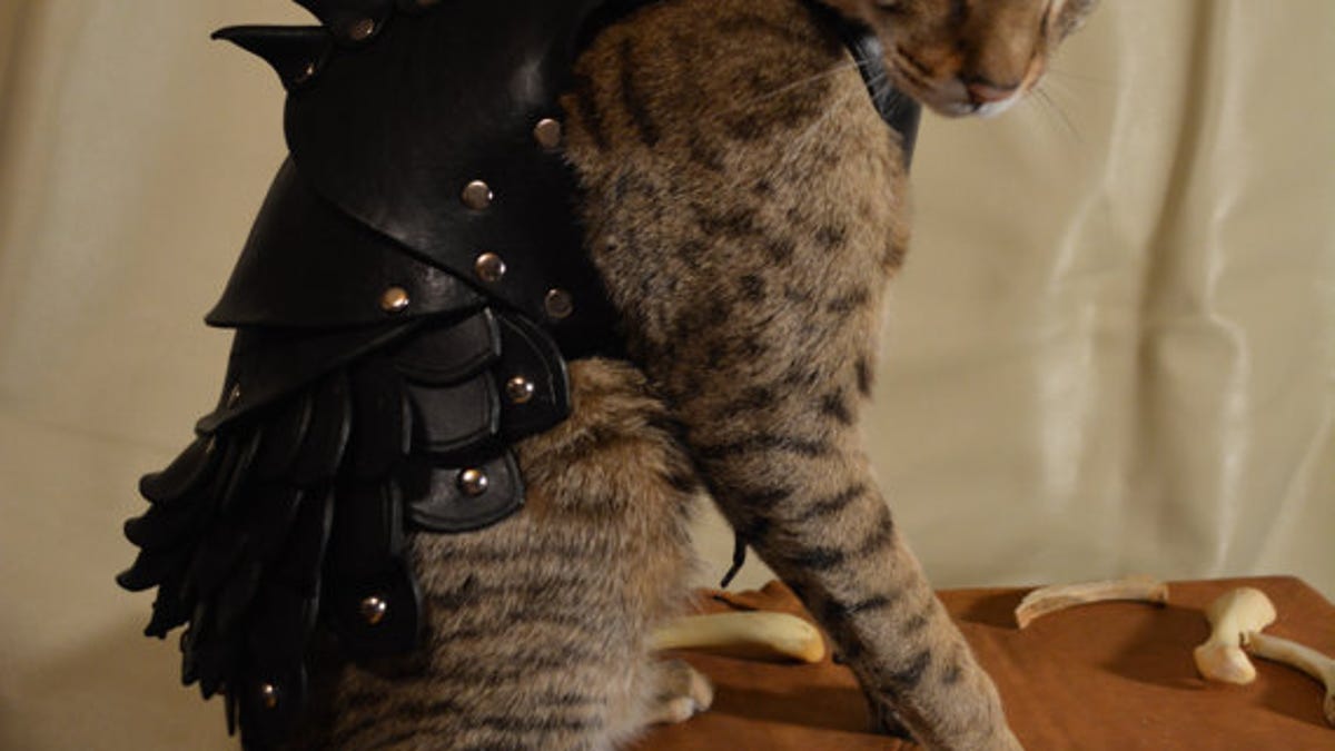 Cats already think they're Kings of your castle, and wearing this custom-made battle armor will make their claim to the throne legit.