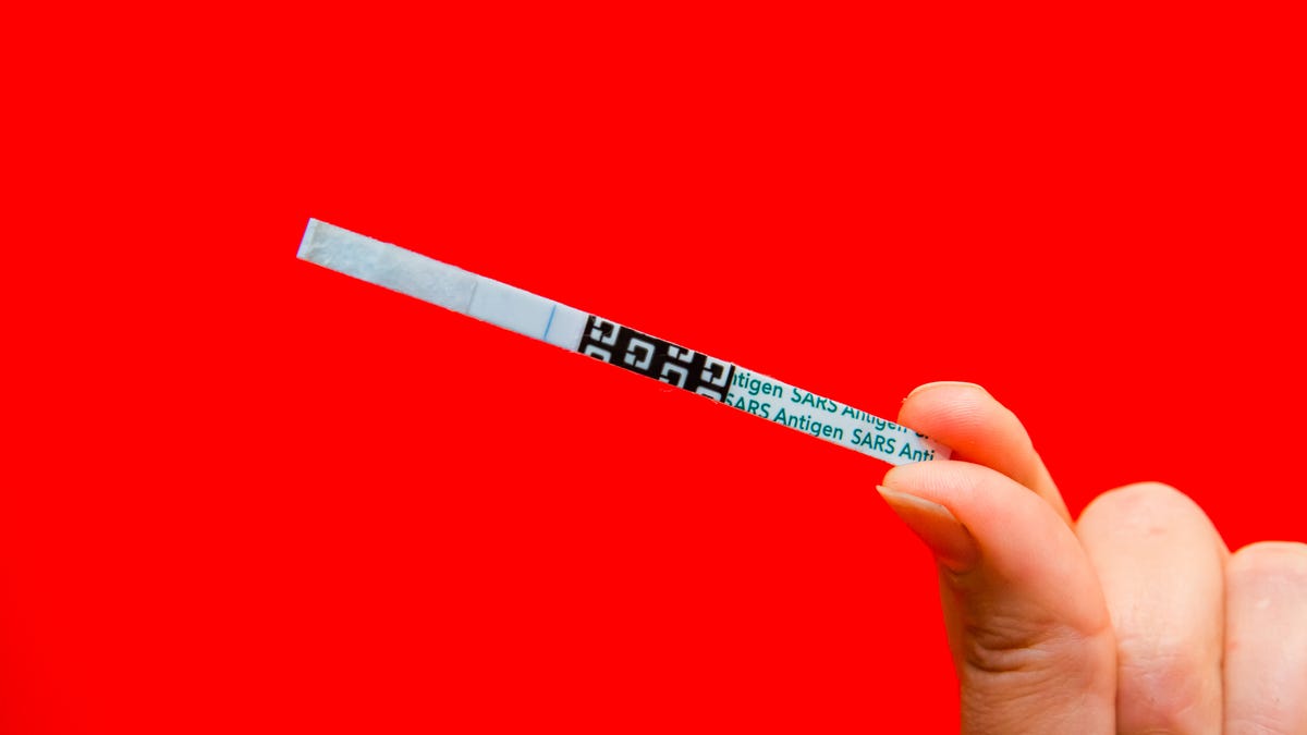 A hand holding an at-home COVID-19 test strip against a bright red background