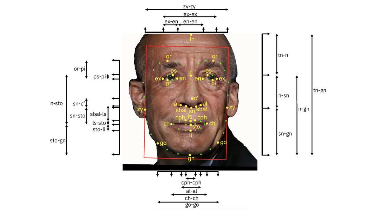 An annotated photo from IBM's Diversity in Faces data set