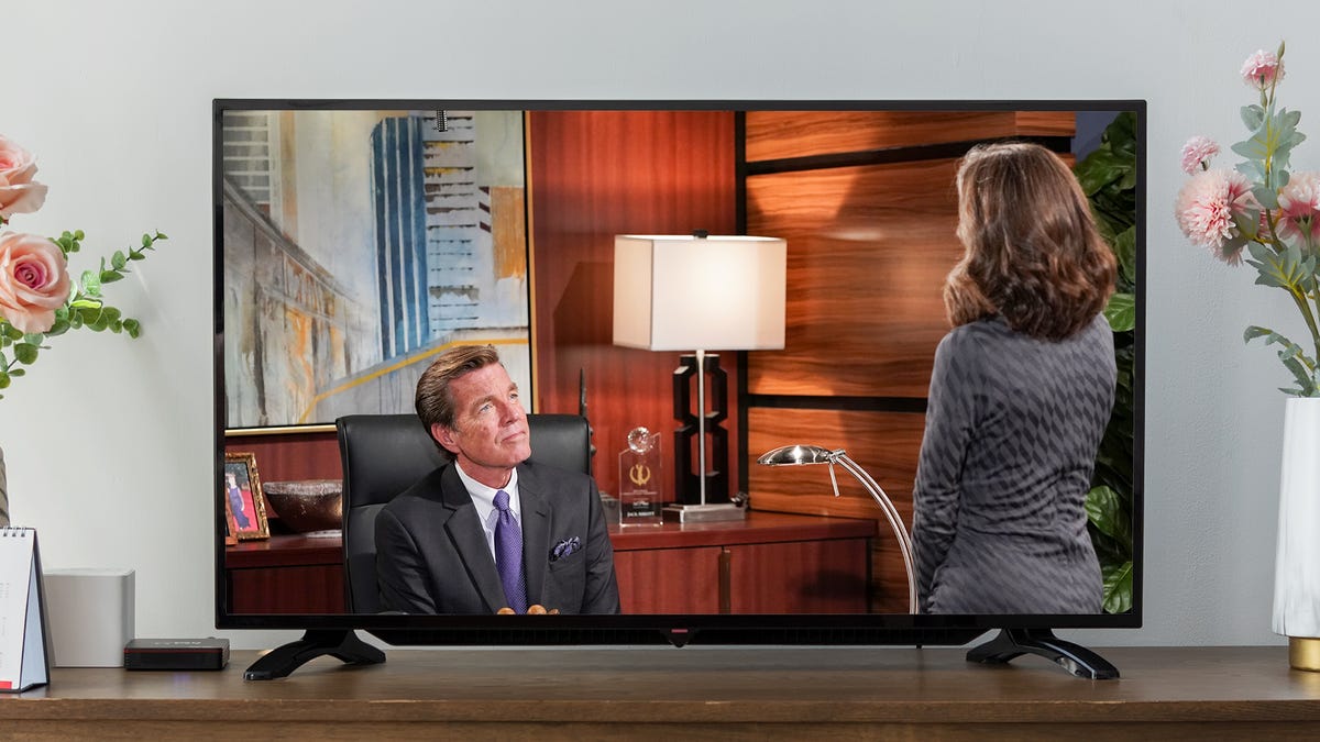 A still image from The Young and the Restless on a TV. On either side are pink flowers.