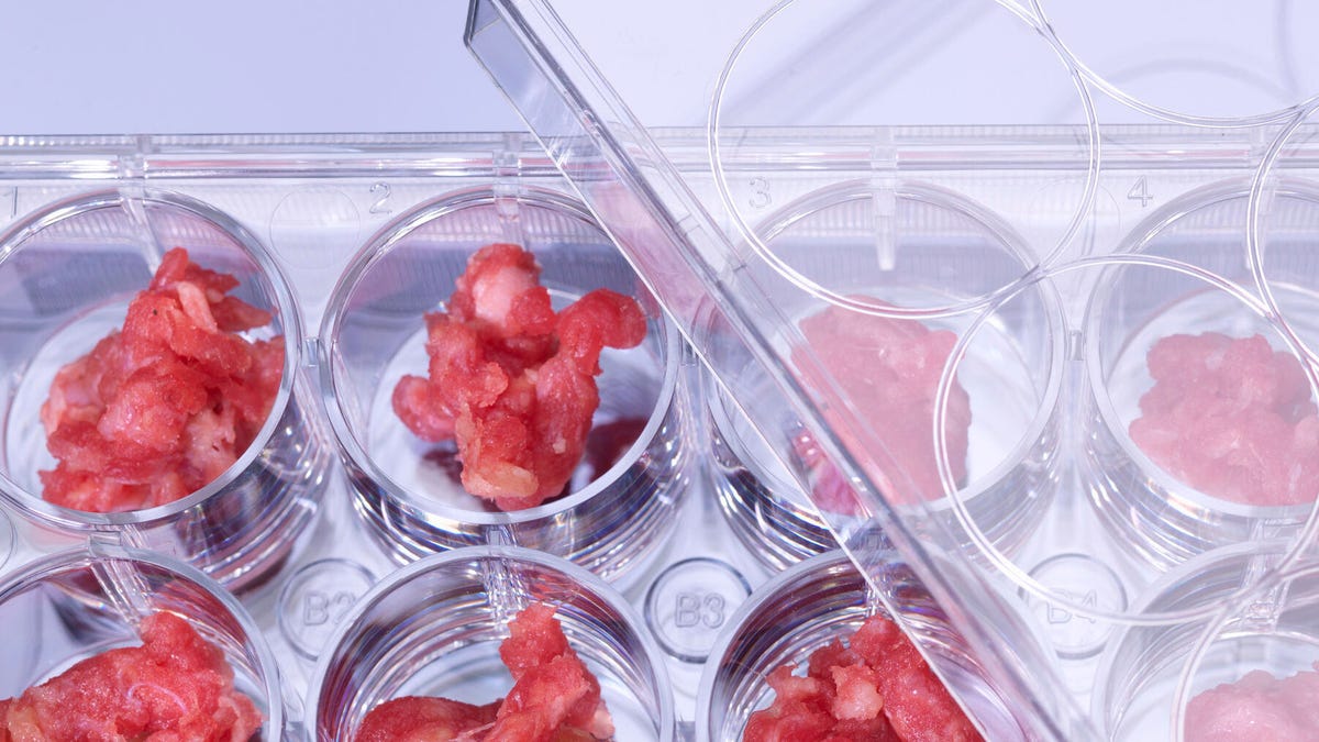 gettyimages-172595242