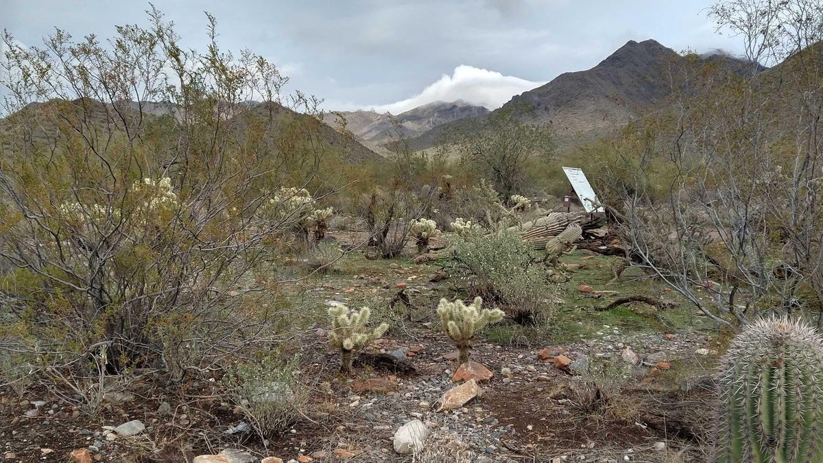 the arizona desert with mountains in the background