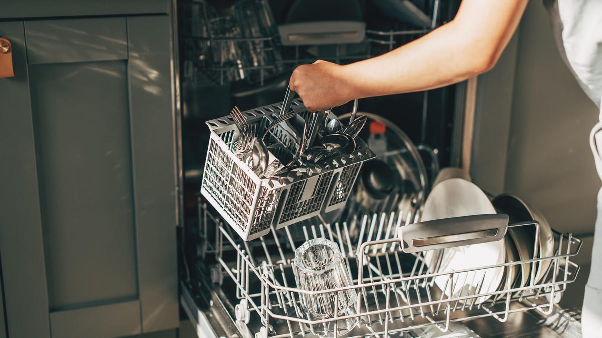 Hand loads dishwasher with dishes