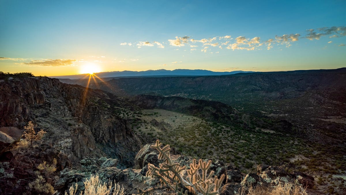 Rising sun backlights some cactus and grass.