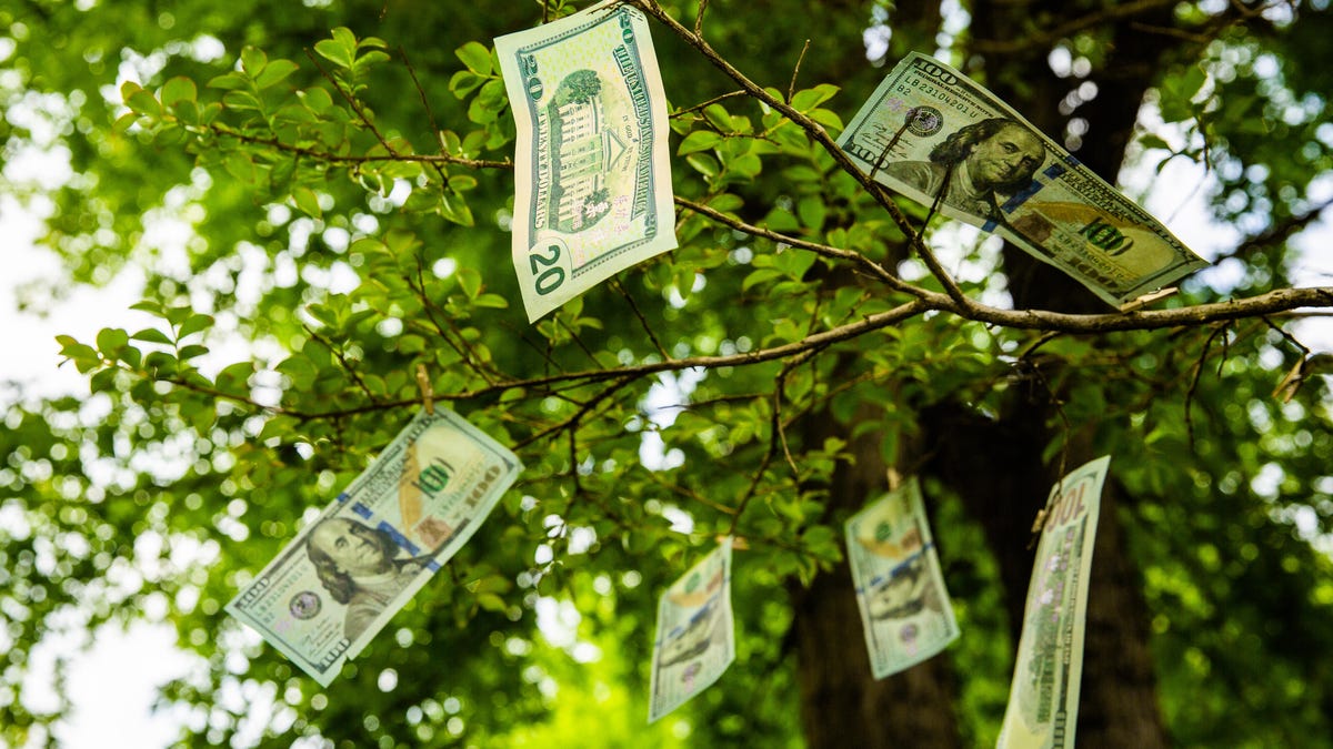 cash-money-growing-on-trees-bounty-stimulus-tax-credit-cnet-2021-021