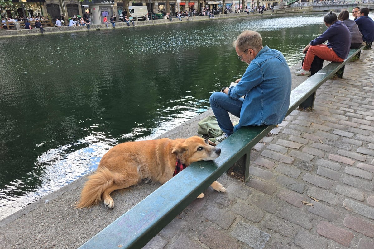 A photo from the Galaxy Z Flip 6