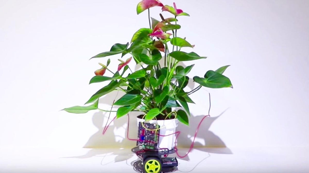 plantrobot