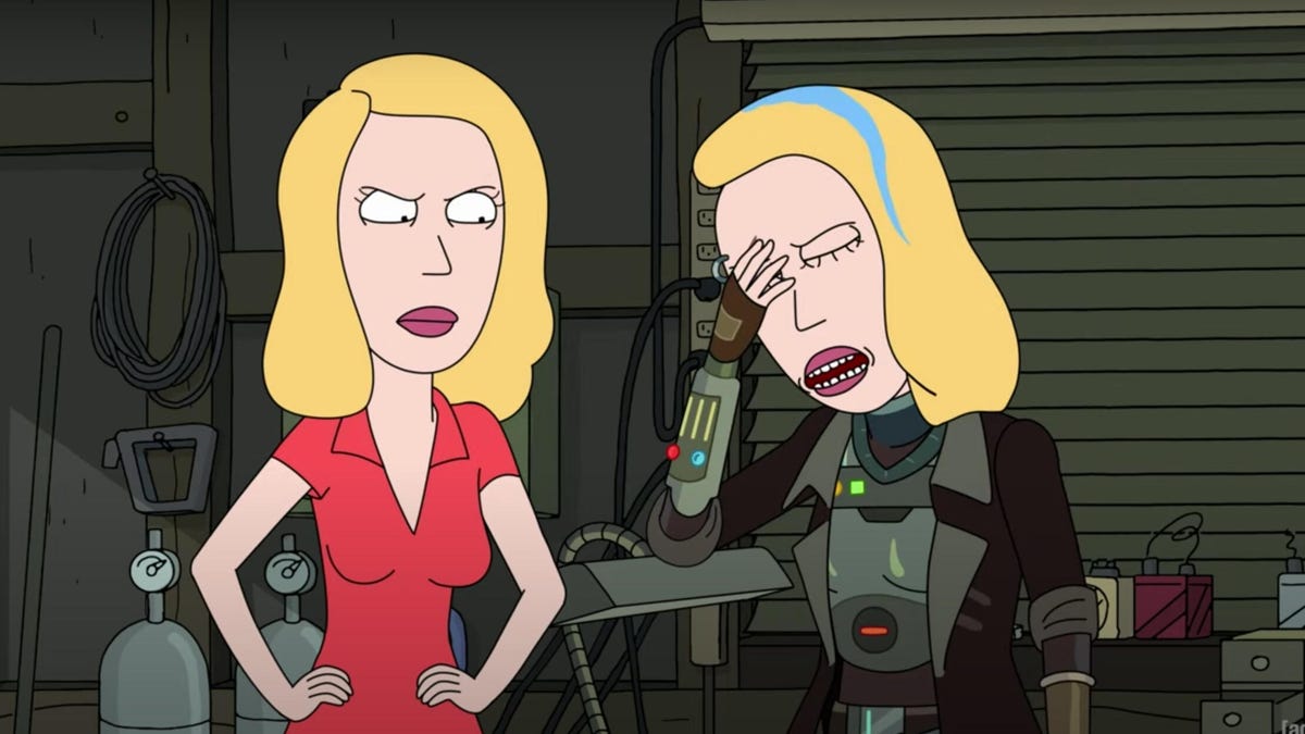 rick-morty-two-beths