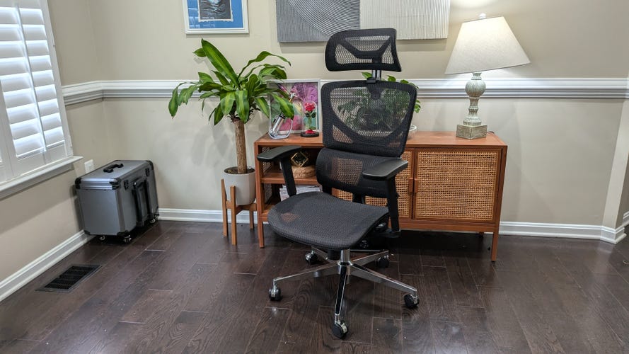 A black office chair in from of a potted plant