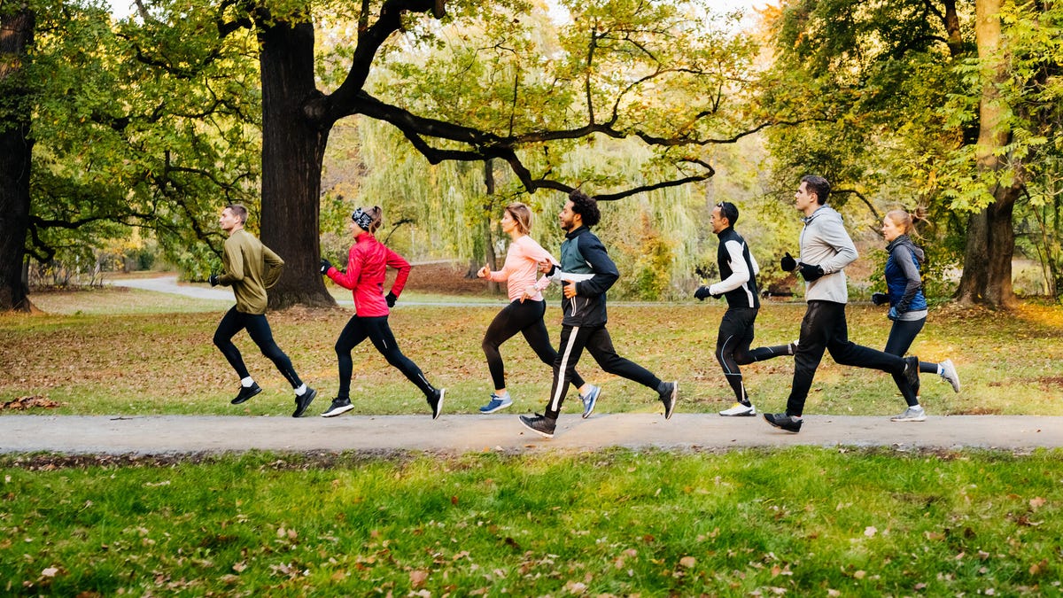 Group of runners on a park trail.