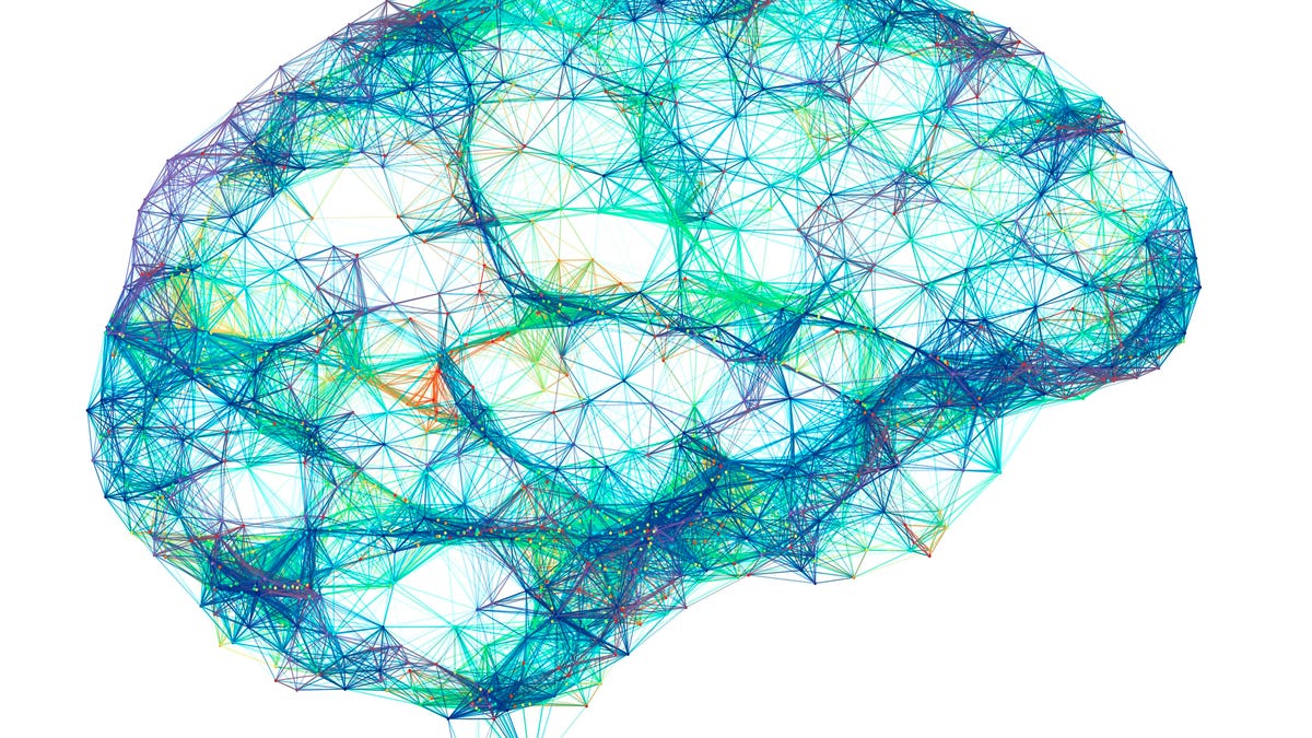 Brain, neural network, illustration