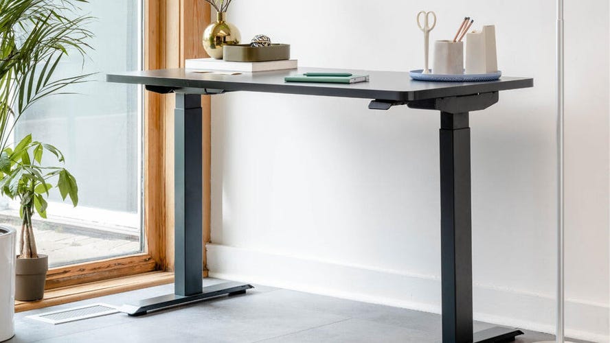Image of Branch Duo standing desk