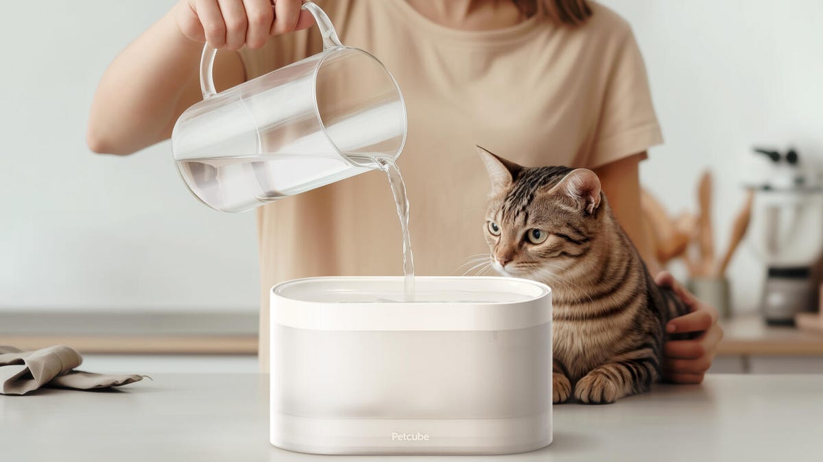 A woman pours water from a pitcher into the pet fountain while a cat sits by.
