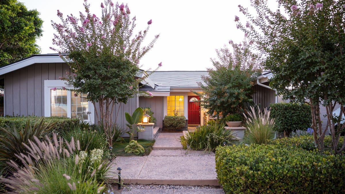 solar-panels-renu-energy