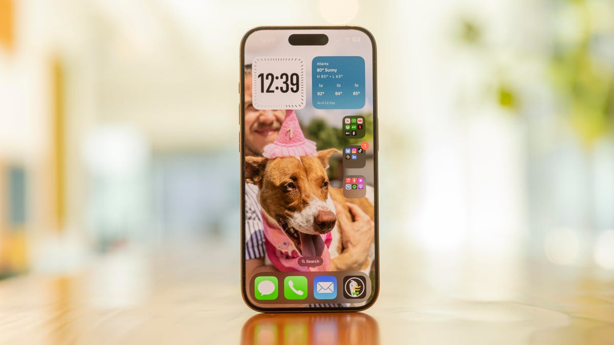 An iPhone 14 Pro with a brown and white dog wearing a pink party hat on the screen