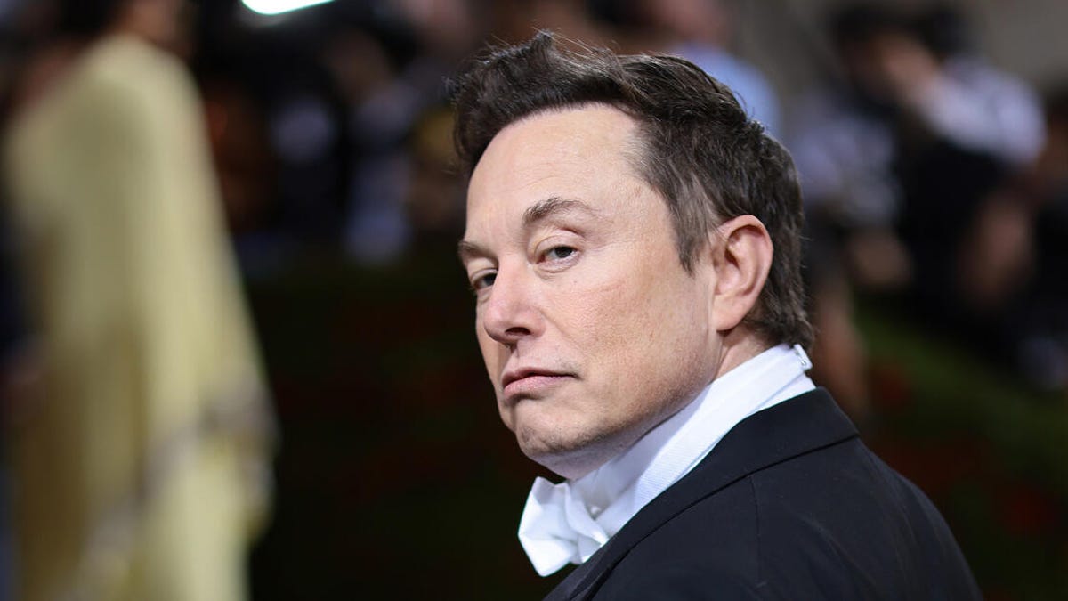 Elon Musk at the 2022 Met Gala