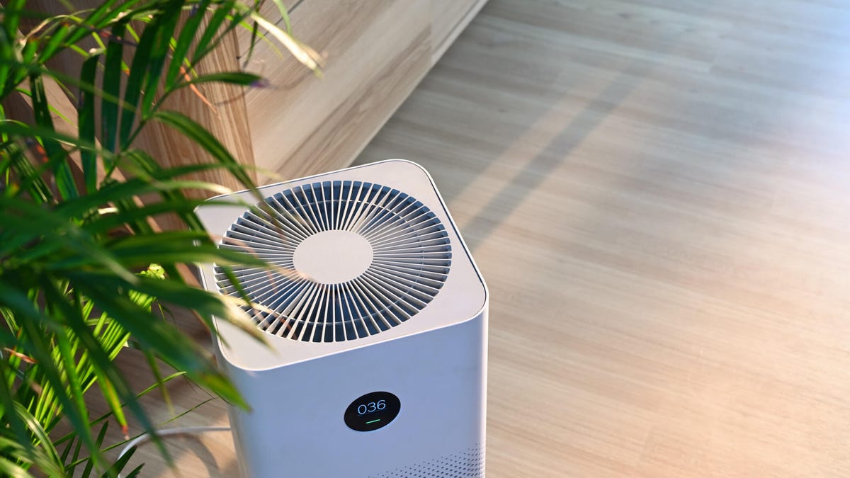an air purifier