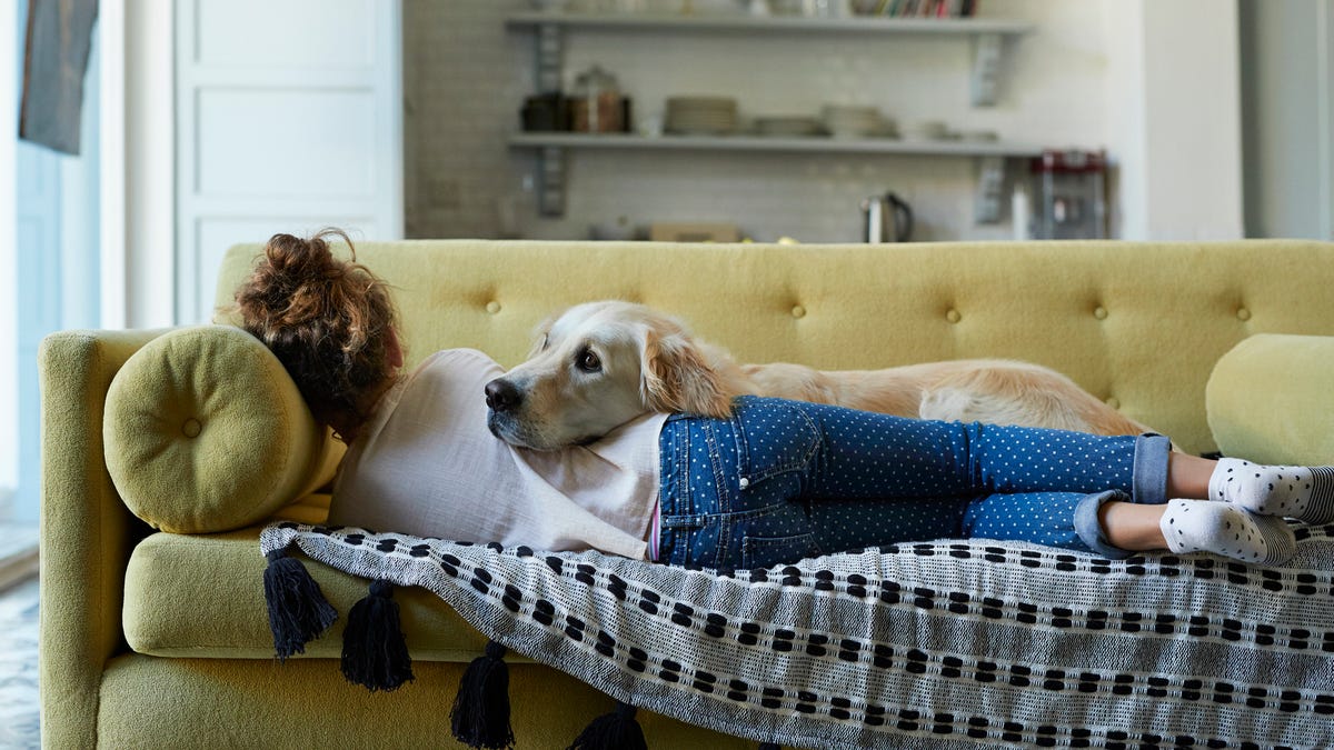 Girl trying to sleep on couch with her dog