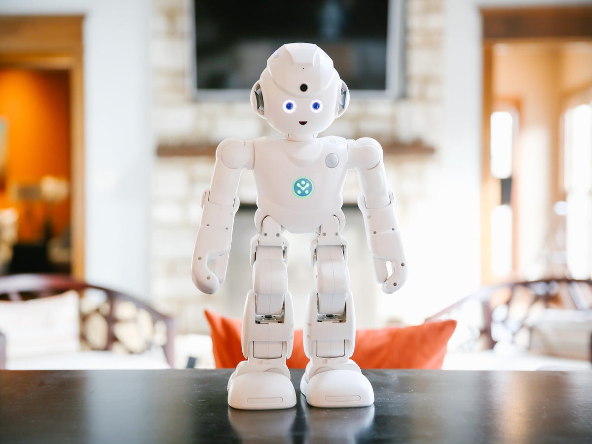 lynx-product-photos-17