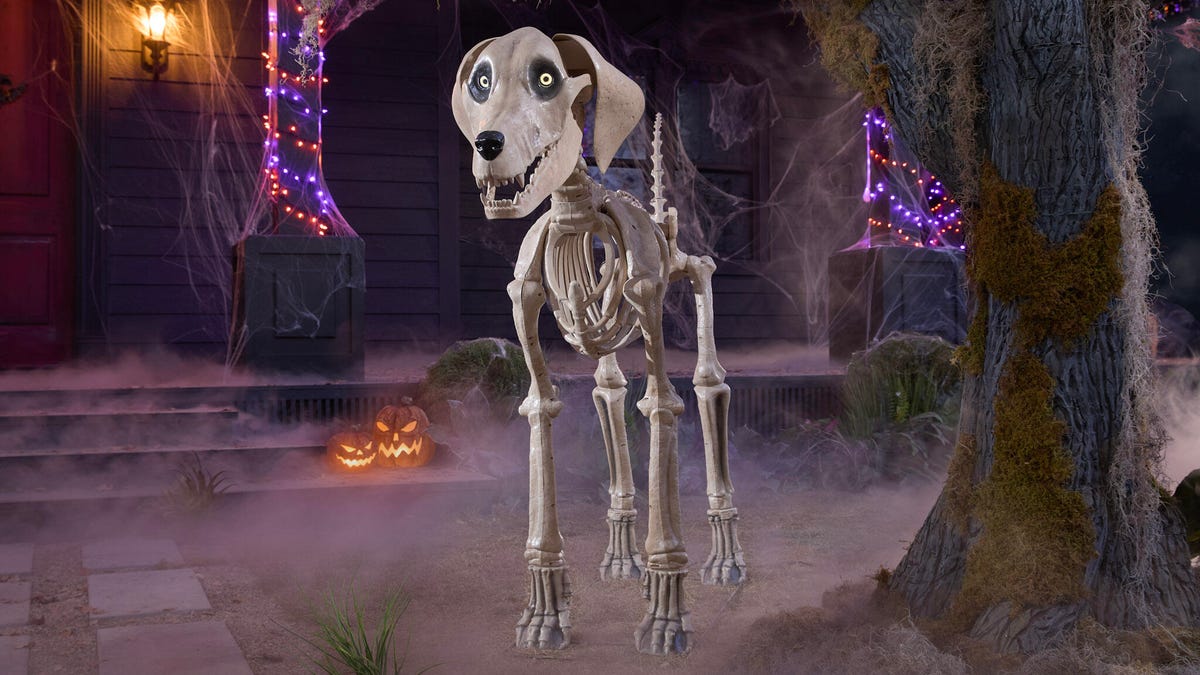 skelly-dog