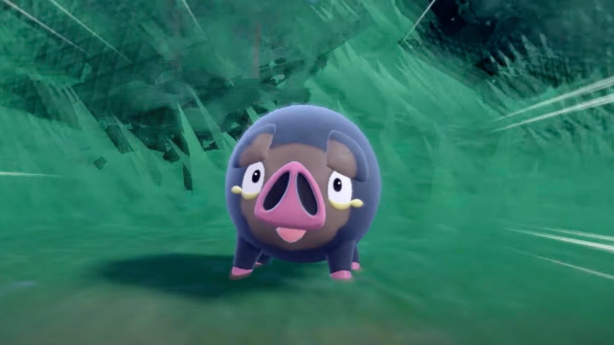 Lechonk, a hog Pokemon.
