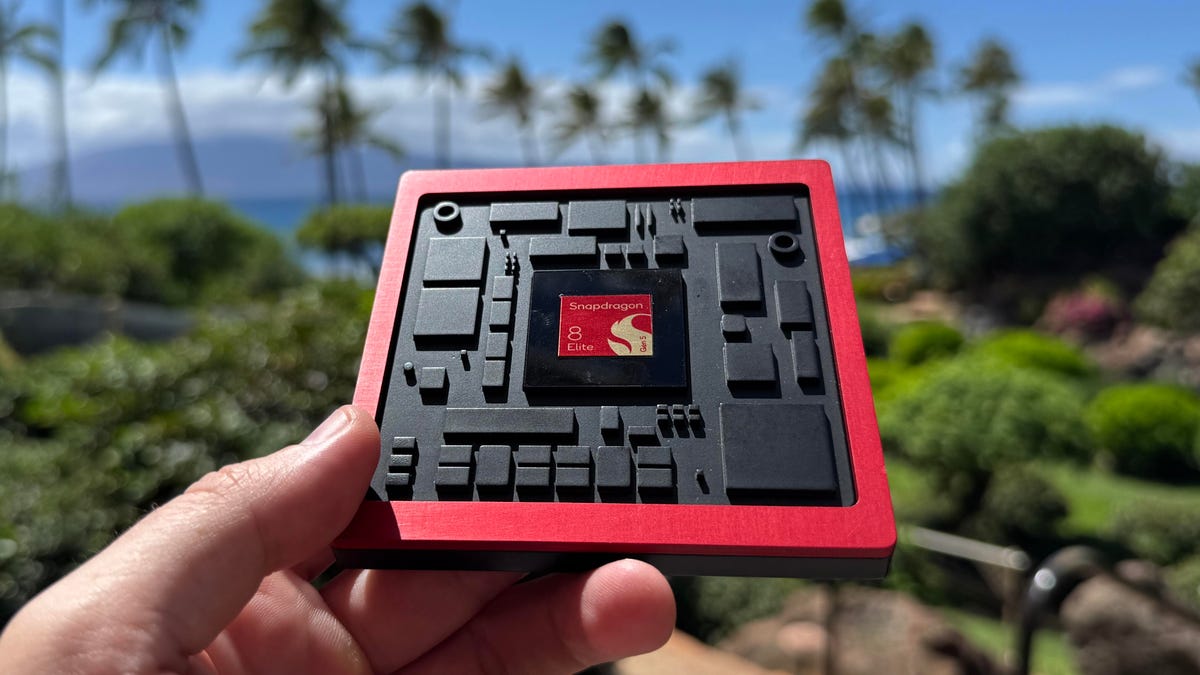 A mocked-up chip against a tropical background.