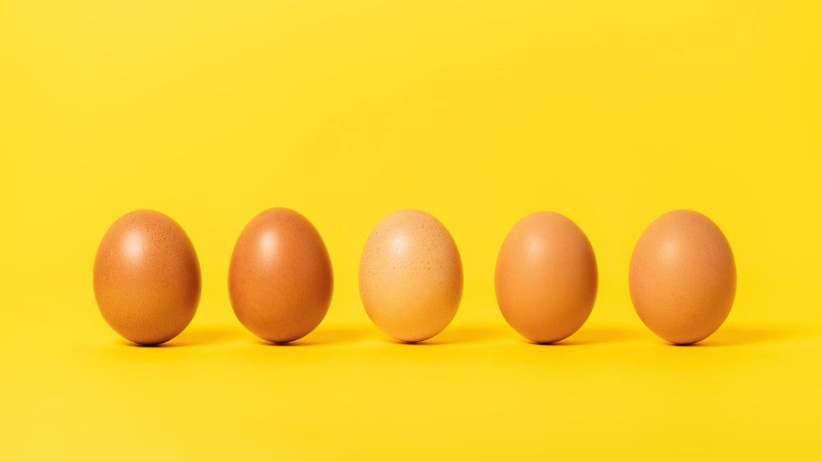 A line of eggs against yellow background