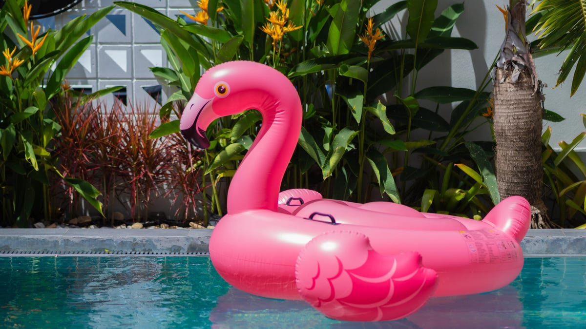A photo of a pool with a flamingo floaty in it, with birds of paradise flowers in the background. gettyimages-1757431734