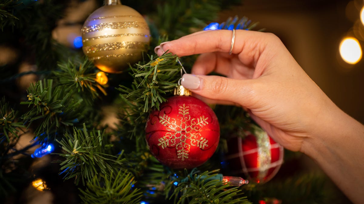 Thanksgiving celebratory toast