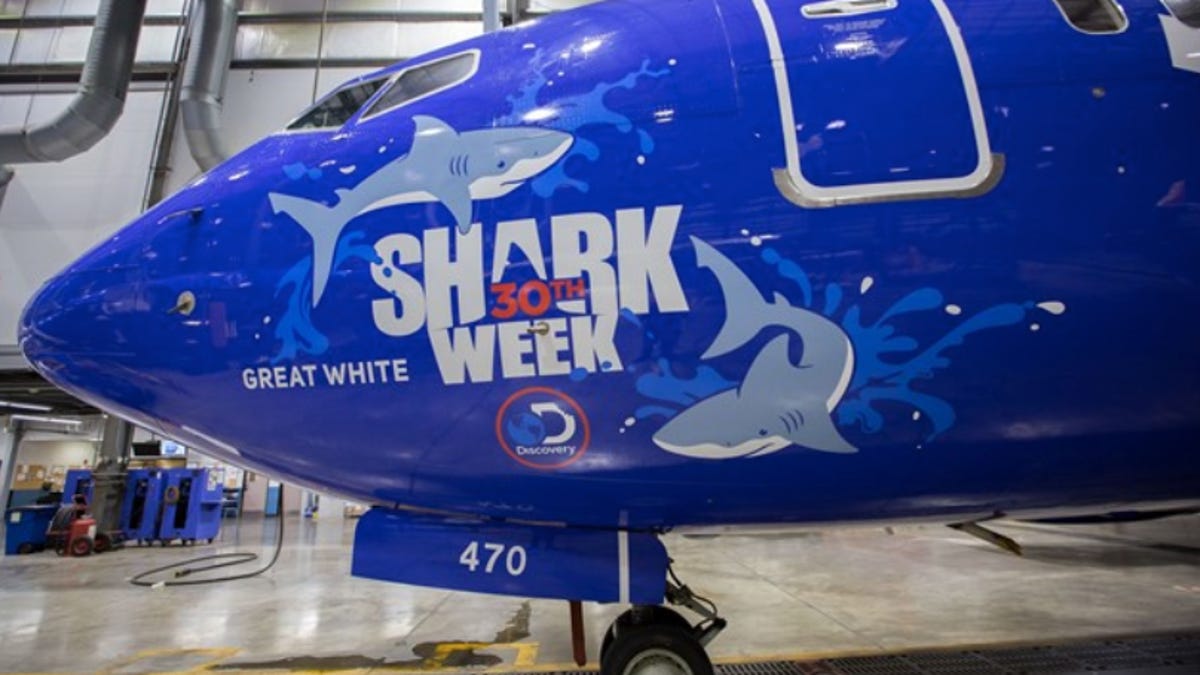 southwest-shark-week-737