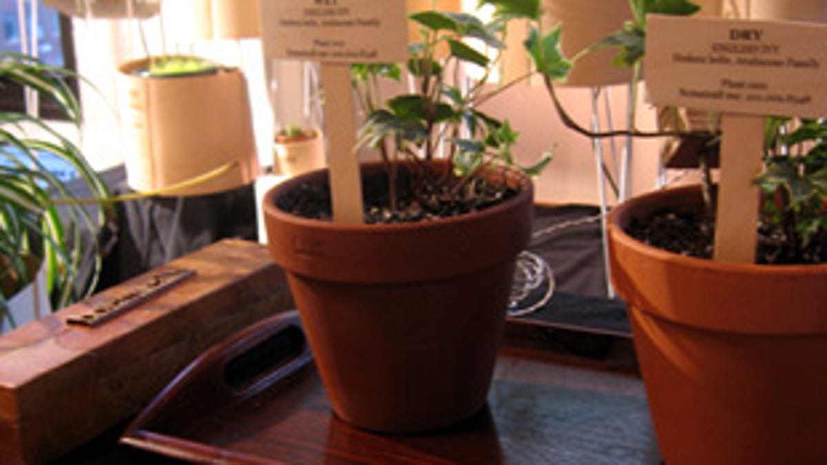 Botanicalls display at the ITP 2006 Winter Show