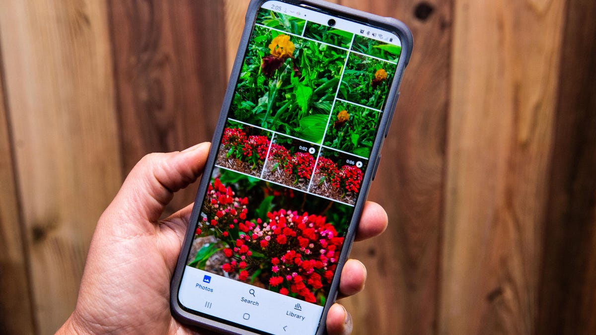 phone showing photos of flowers in Google Photos